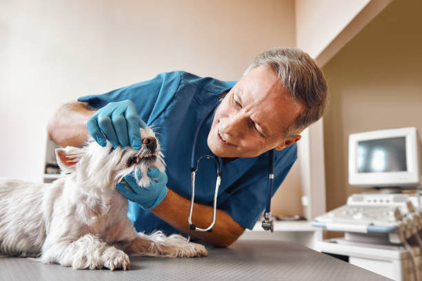 Best Emergency Denture Repair in Farragut, TN