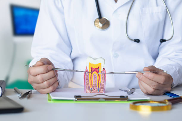 Best Emergency Gum Treatment in Farragut, TN
